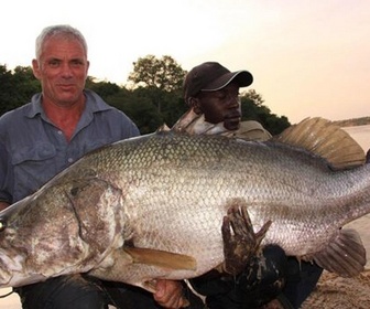 Replay River monsters - Le Titanic de l'Amazone