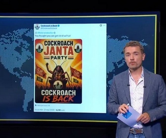 Replay Info ou intox - Parti des cafards : quand une blague devient un mouvement politique viral