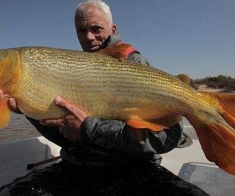 Replay River monsters - S2E5 - Le tueur du Congo