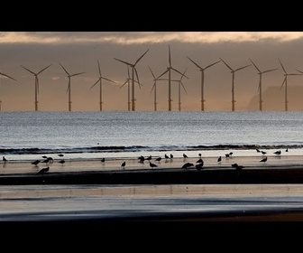 Replay En Suède, le gouvernement retoque 13 projets de parcs éoliens offshore