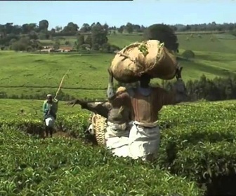 Replay Cités & merveilles - Nairobi