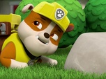 Replay Paw Patrol, la Pat'Patrouille - Le puits à souhaits