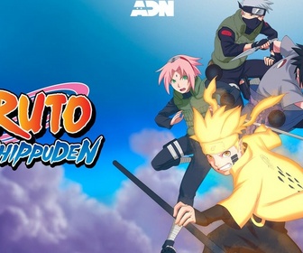 Replay Naruto Shippuden - S1 E12 - La décision de la grand-mère