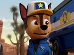 Replay Paw Patrol, la Pat'Patrouille - Mission camion : Le satellite ne répond plus
