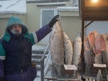 Replay Le monde féérique de Moscou, la réalité glaciale de la Sibérie - Tracks East