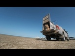 Replay Un tigre de l'Amour réintroduit dans la nature au Kazakhstan