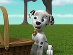 Replay Paw Patrol, la Pat'Patrouille - La plus grosse omelette du monde