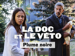 Replay La doc et le véto - 16/04/2026