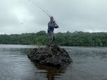 Replay River monsters - Carnage en Afrique