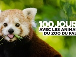 Replay 100 jours au zoo du Pal