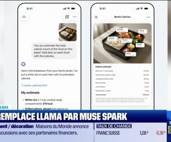 Replay Tech & Co, la quotidienne - Le Tech Flash : Meta remplace Llama par Muse Spark, par Léa Benaim - 09/04