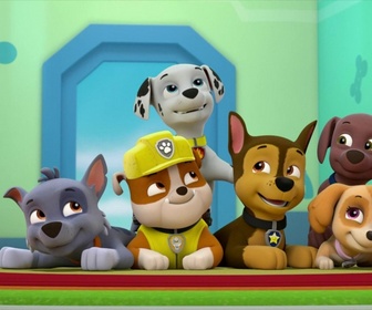 Replay Paw Patrol, la Pat'Patrouille - Les trois oiseaux
