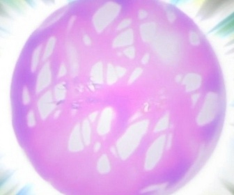 Replay Naruto - S6 E6 - Conclusion sous une pluie de larmes