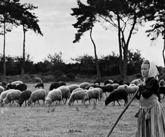 Replay Invitation au voyage - 07/09/2026 - En Bretagne, un mouton qui raconte le monde paysan