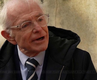 Replay e=m6 - Toiles d'araignées, odorat des chiens : ces animaux surpassent les humains !