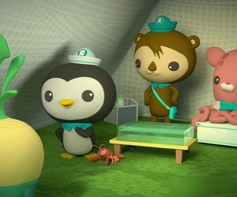 Replay Les Octonauts et les écrevisses des marécages