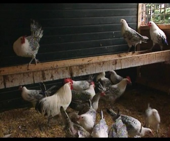 Replay La clinique du Dr. Karbaat : l'homme aux 90 enfants - Un enfant à tout prix