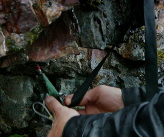 Replay Alaska, La Ruée vers l'Or - S4E17 - Sur le fil