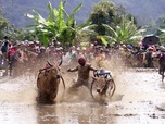 Replay Les routes de l'impossible - Sumatra, maudits trésors