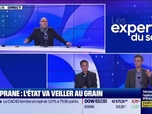 Replay Les experts du soir - Doliprane : l'État va veiller au grain - 21/10