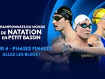 Replay Championnats du Monde de Natation petit bassin - 4e jour - Phases finales