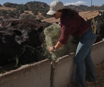 Replay ARTE Journal - États-Unis : la viande de bœuf en crise