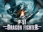 Replay P-51 Dragon fighter