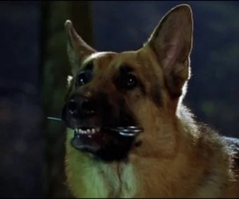 Replay Rex, chien flic - L'assassin de la pleine lune
