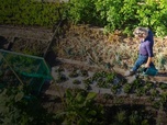 Replay Potagers : si on semait !