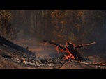 Replay Des milliers de personnes évacuées alors qu'un incendie se propage dans le sud-ouest de la France