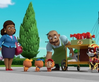Replay Paw Patrol, la Pat'Patrouille - La Super Patrouille : Le glaçon géant