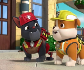 Replay Paw Patrol, la Pat'Patrouille - Une visite surprise
