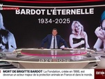Replay BFM Grand Soir - Brigitte Bardot : la France pleure sa légende - 28/12