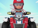 Replay Paw Patrol, la Pat'Patrouille - S09 E11 - L'assistant de la Fée des dents