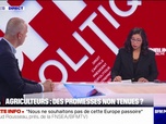 Replay BFM Politique - Plusieurs dizaines de milliers d'exploitations agricoles sont en danger, estime Arnaud Rousseau